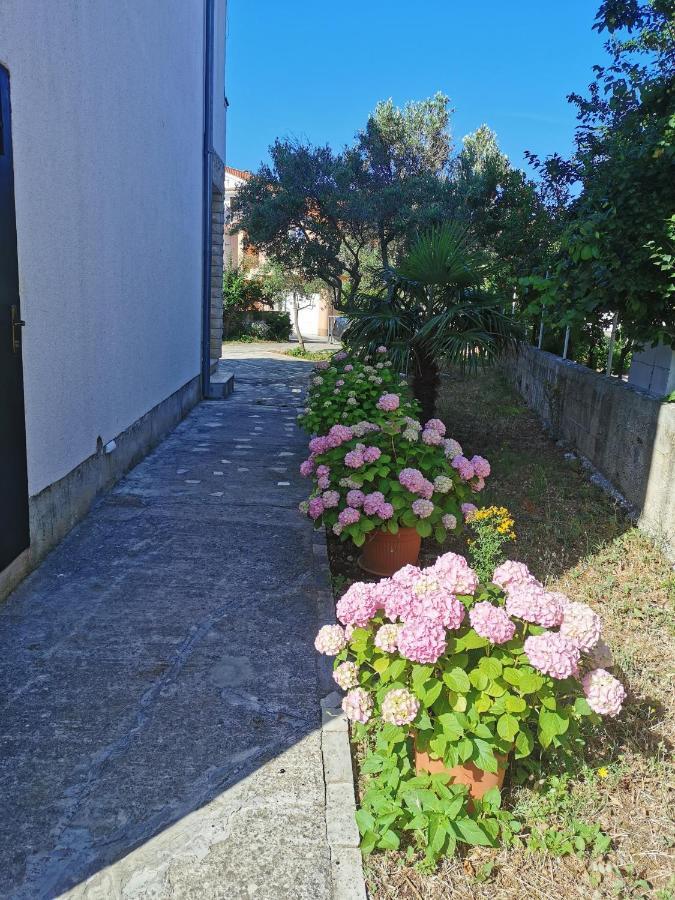 Bugenvila Rogoznica  Exterior photo